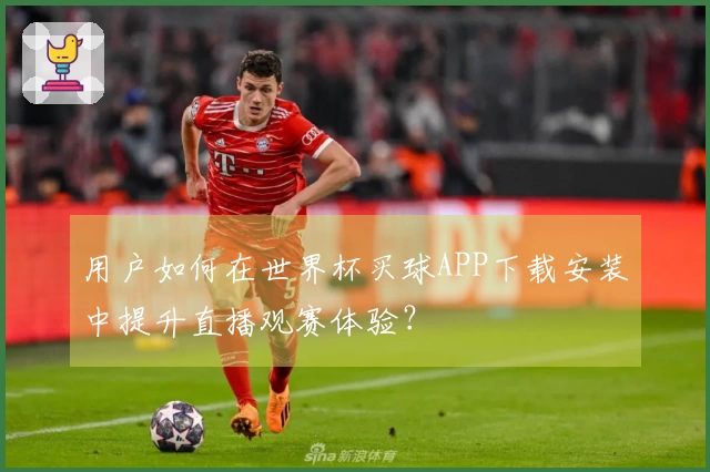 用户如何在世界杯买球APP下载安装中提升直播观赛体验？