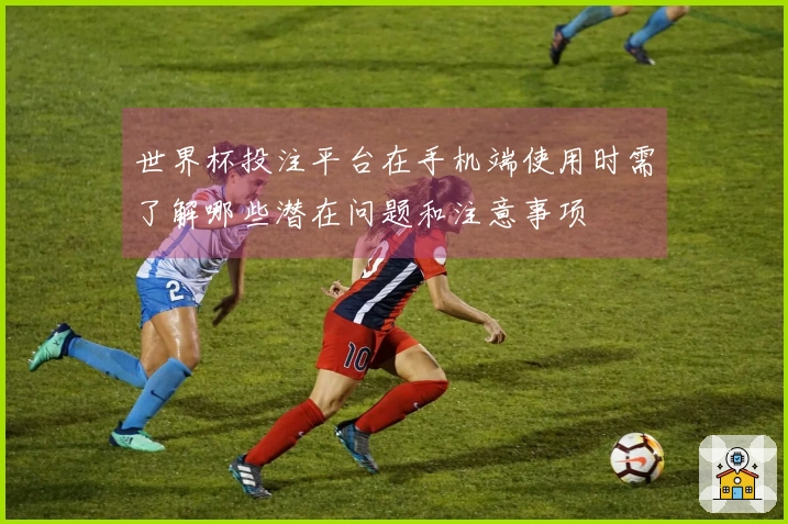世界杯投注平台在手机端使用时需了解哪些潜在问题和注意事项