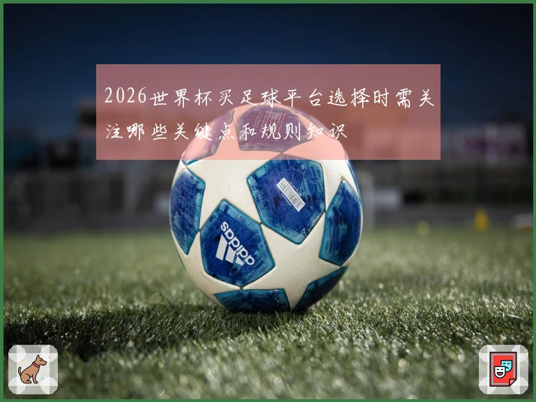 2026世界杯买足球平台选择时需关注哪些关键点和规则知识