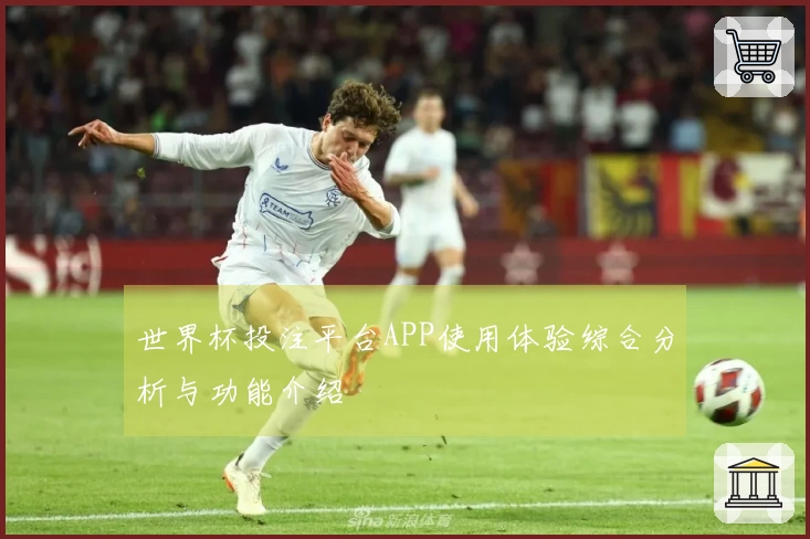 世界杯投注平台APP使用体验综合分析与功能介绍