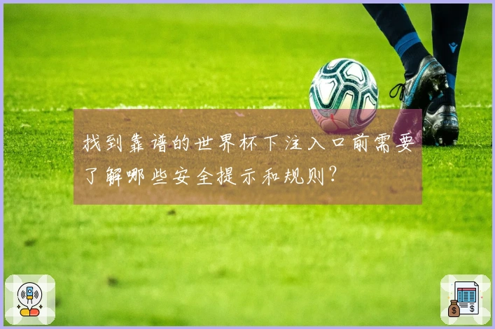 找到靠谱的世界杯下注入口前需要了解哪些安全提示和规则?