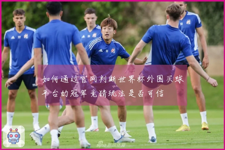 如何通过官网判断世界杯外围买球平台的冠军竞猜玩法是否可信
