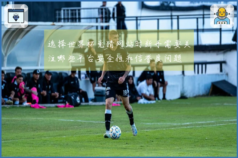 选择世界杯竞猜网站时新手需要关注哪些平台安全性和信誉度问题