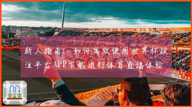 新人指南：如何高效使用世界杯投注平台APP下载进行体育直播体验