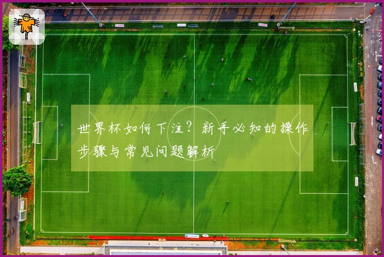 世界杯如何下注?新手必知的操作步骤与常见问题解析