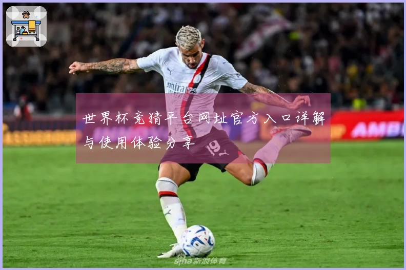 世界杯竞猜平台网址官方入口详解与使用体验分享