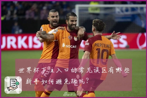 世界杯下注入口的常见误区有哪些？新手如何避免踩坑？