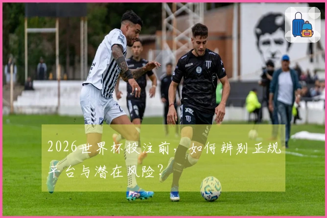 2026世界杯投注前，如何辨别正规平台与潜在风险？