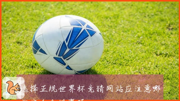选择正规世界杯竞猜网站应注意哪些安全合规事项