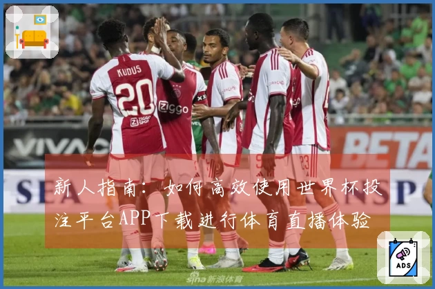 新人指南：如何高效使用世界杯投注平台APP下载进行体育直播体验