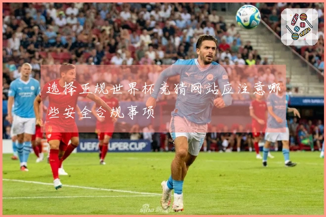选择正规世界杯竞猜网站应注意哪些安全合规事项