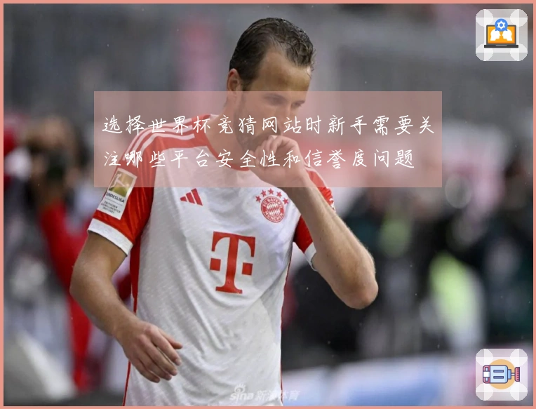 选择世界杯竞猜网站时新手需要关注哪些平台安全性和信誉度问题