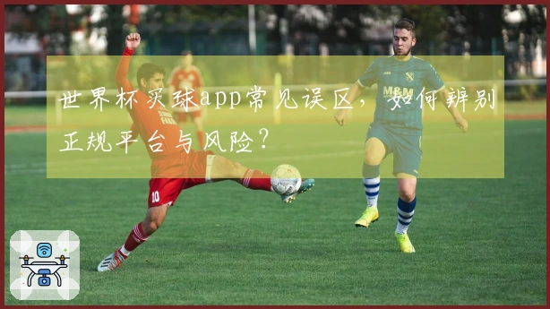 世界杯买球app常见误区，如何辨别正规平台与风险？