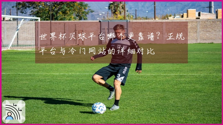 世界杯买球平台哪个更靠谱？正规平台与冷门网站的详细对比