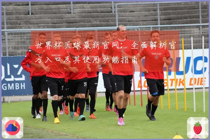 世界杯买球最新官网:全面解析官方入口及其使用功能指南
