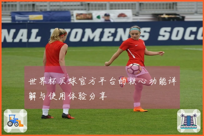 世界杯买球官方平台的核心功能详解与使用体验分享