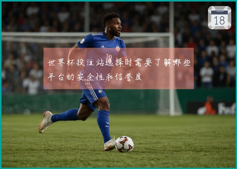 世界杯投注站选择时需要了解哪些平台的安全性和信誉度