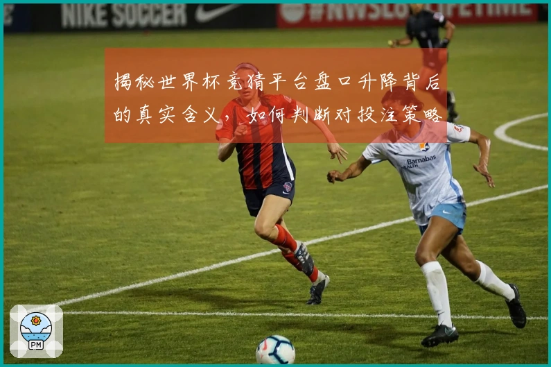 揭秘世界杯竞猜平台盘口升降背后的真实含义，如何判断对投注策略的影响？