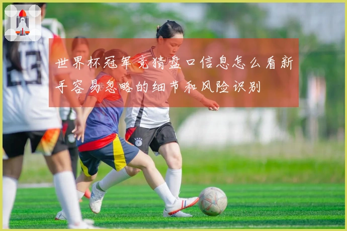 世界杯冠军竞猜盘口信息怎么看新手容易忽略的细节和风险识别
