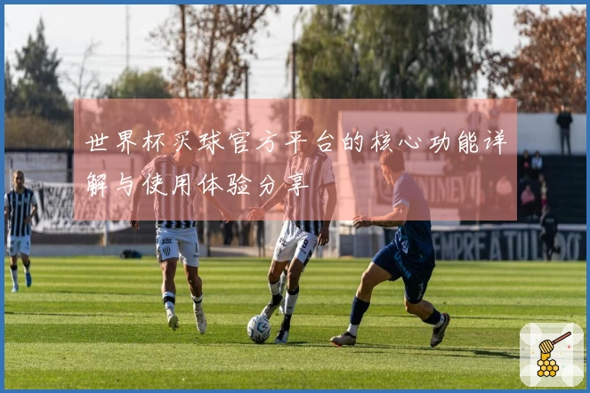 世界杯买球官方平台的核心功能详解与使用体验分享