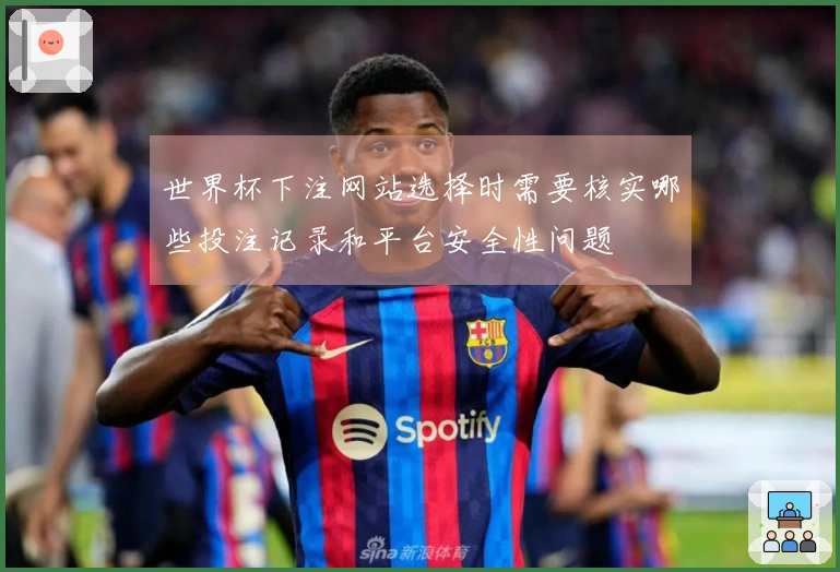 世界杯下注网站选择时需要核实哪些投注记录和平台安全性问题