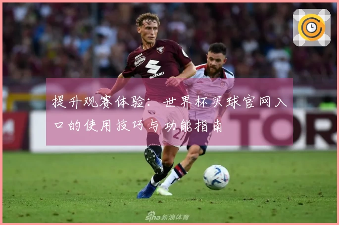提升观赛体验：世界杯买球官网入口的使用技巧与功能指南