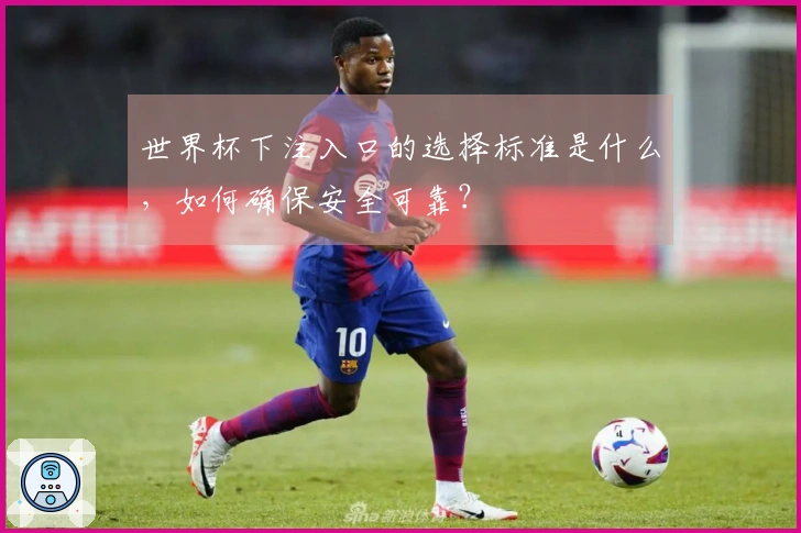 世界杯下注入口的选择标准是什么，如何确保安全可靠？