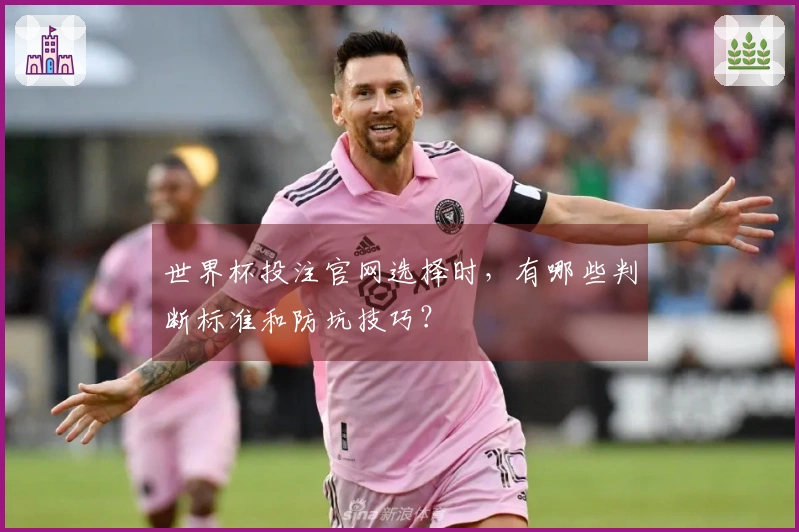 世界杯投注官网选择时，有哪些判断标准和防坑技巧？