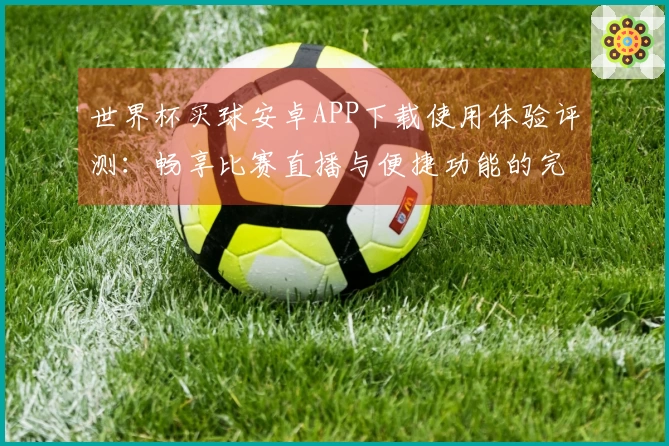 世界杯买球安卓APP下载使用体验评测：畅享比赛直播与便捷功能的完美结合
